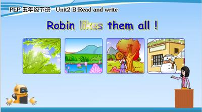 矢量动画flash制作精品：Robin likes them all!