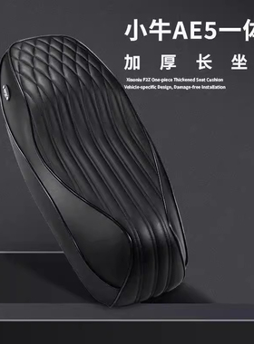 佛系车业ADW正品适用极核AE4/AE4SE/AE5电摩电自一体坐垫座垫改装