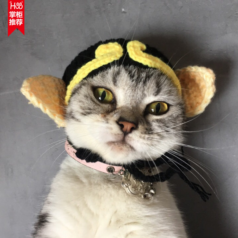 猪八戒猪年猫咪狗狗头套针织毛线可爱宠物兔子卖萌抖音帽子吃货