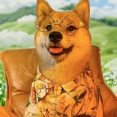 中型犬眼镜宠物狗柴犬柯基头饰拍照道具棉花娃娃墨镜潮流文艺复古