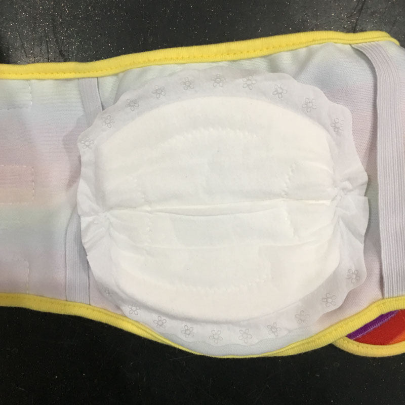 宠物狗内贴式尿不湿尿垫护垫卫生巾尿片泰迪公狗乱尿神器母狗月经,宠物/宠物食品及用品,尿片/尿垫/护垫,淘宝优惠券,粉丝福利购,淘宝优惠卷