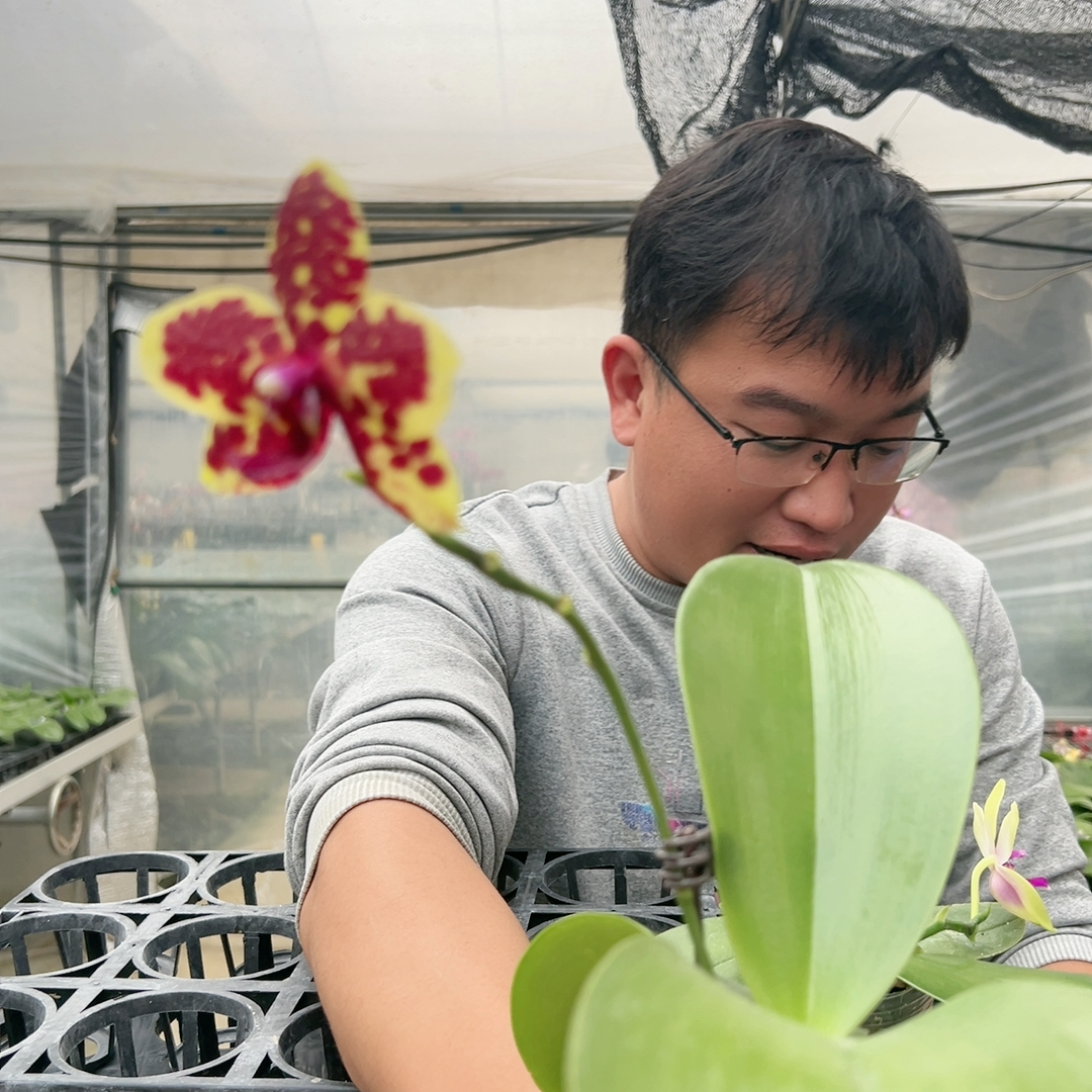 E139。原生种 清仓大甩卖