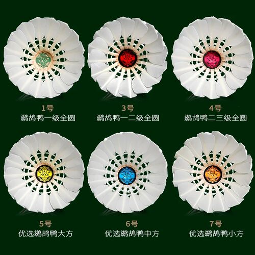 亚狮龙羽毛球耐打训练球
