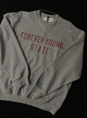 春秋新款重磅男女上衣cityboy潮牌胸前字母印花圆领套头卫衣宽松