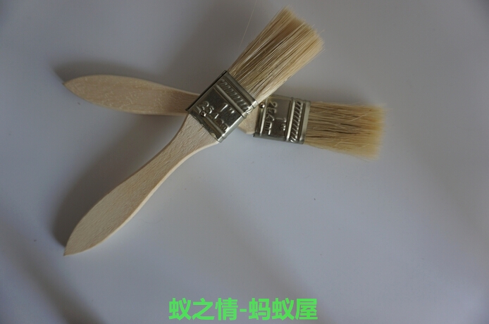 蚁新款猎镰猛蚁之情-屋 蚂蚁工坊 清洁蚁巢用 小木刷一支