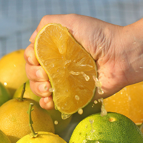 花禾生活橙子界C位出道，湘青橙，3斤装/箱，单果果径60-65mm