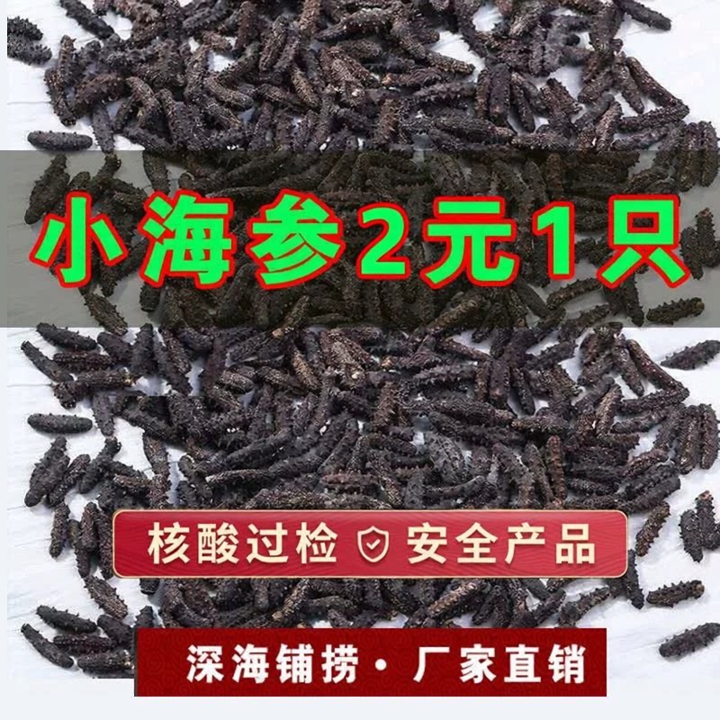 野生淡干小海参干货大连刺参非鲜活海刺参辽参佛跳墙干材料海产品