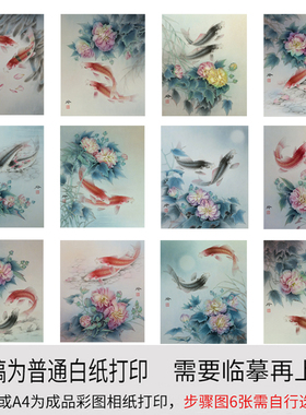 白描底稿工笔画芙蓉鲤鱼
