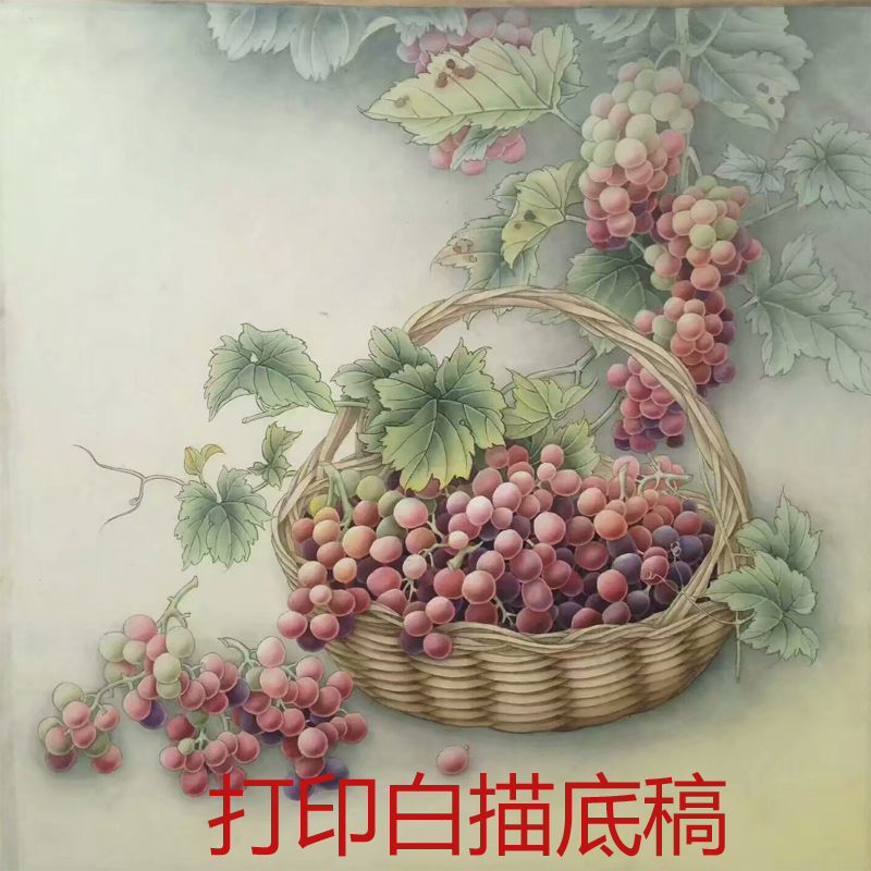 国画工笔画打印白描底稿素材葡萄斗方初学者线描宣纸过稿DY装饰画图片