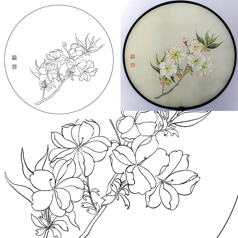 (有步骤图)工笔画打印白描底稿郑玲玲圆形团扇初学者临摹勾线练习
