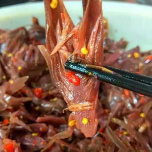 腌制新鲜阳荷姜莲花姜洋河姜太湖开胃纯手工咸菜500g装食用农产品