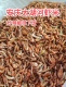 安庆太湖河虾米无盐干虾子自晒淡水河虾干货安庆潜山特产250g 包邮