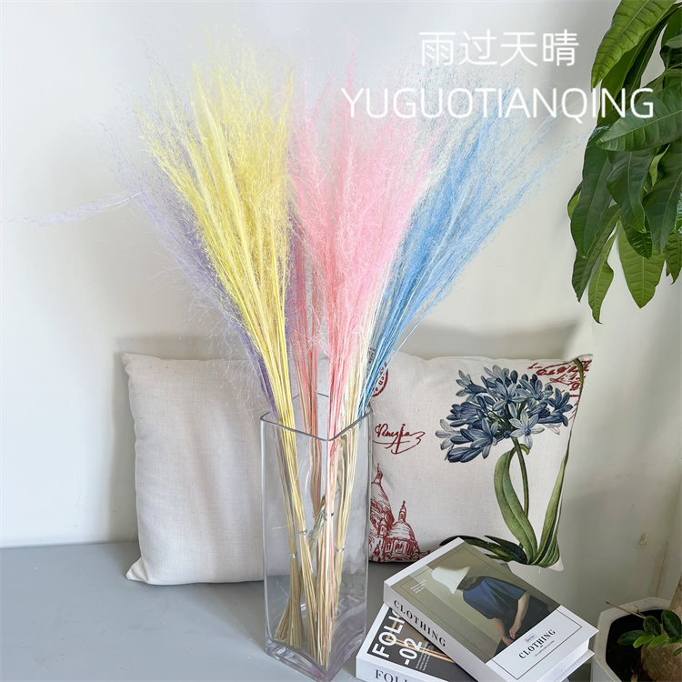 网红观赏草永生花粉黛乱子草干花真花婚庆装饰家居摆设拍摄道具