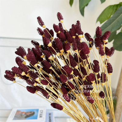 地榆永生花家居软装插花