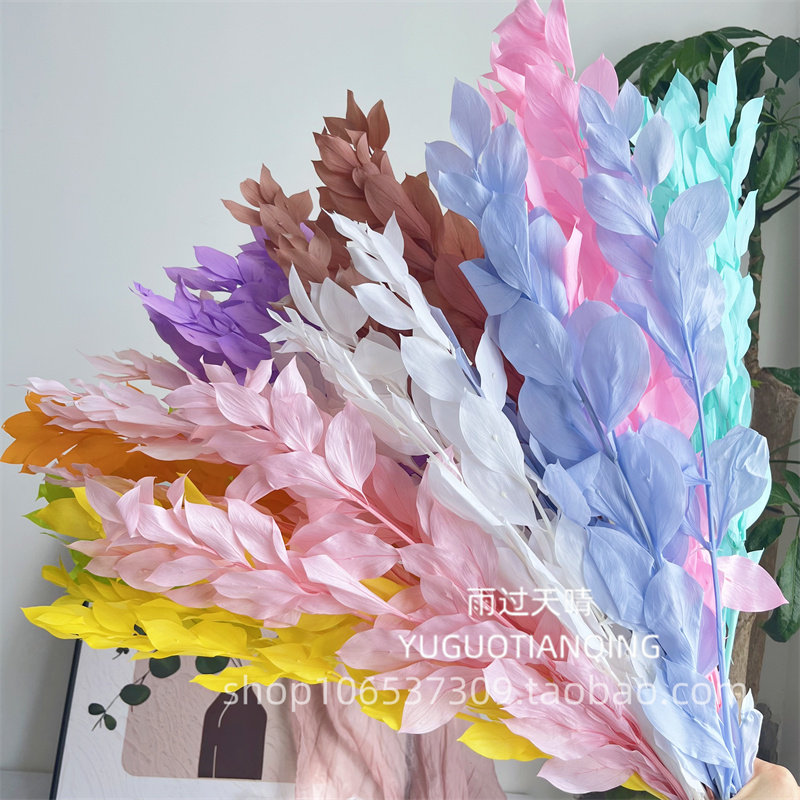 永生花桔子叶百合竹梦幻婚礼花材天然干花家装饰DIY花艺客厅装饰