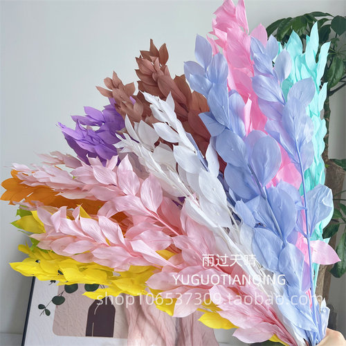 永生花桔子叶百合竹梦幻婚礼花材天然干花家装饰DIY花艺客厅装饰