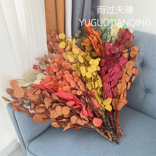 苹果按永生苹果叶干花永生花苹果叶北欧风轻奢家居装饰插花瓶插花