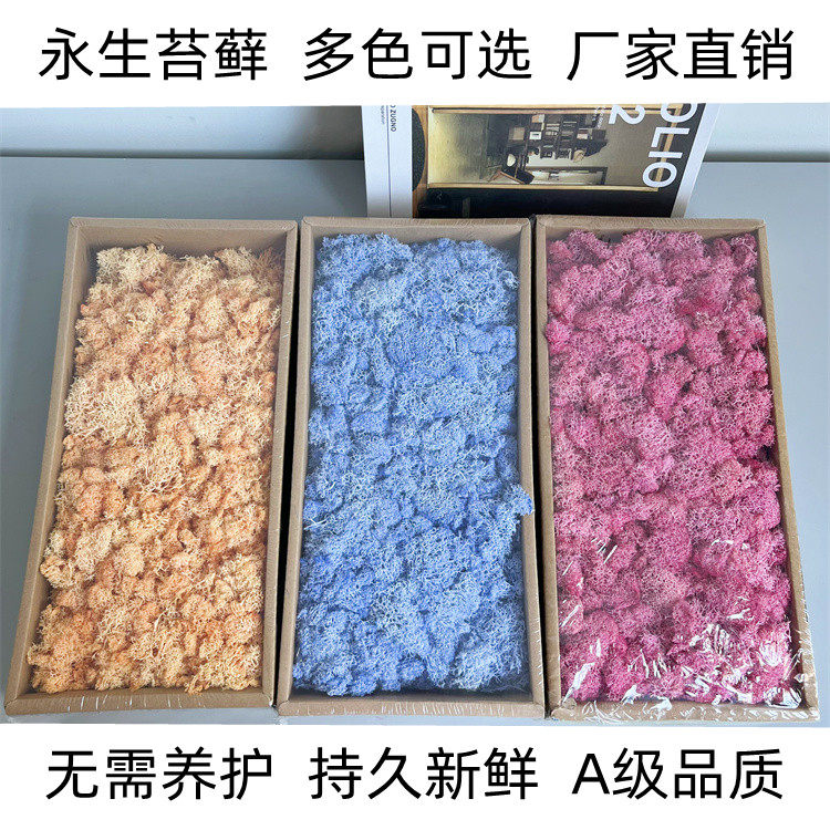 永生花整盒苔藓盒装 花材材料包diy干花植物墙苔藓墙花盒玻璃罩