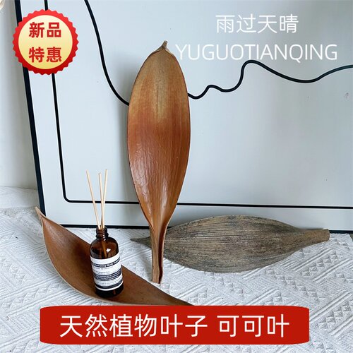 雨过天晴干花可可叶美陈设计