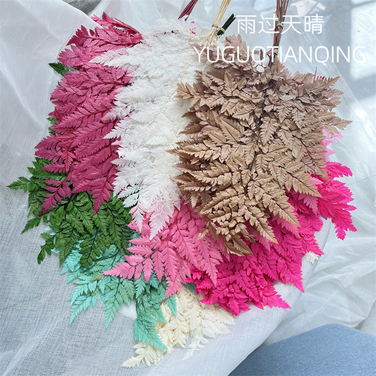雨过天晴高山羊齿永生花婚礼布置