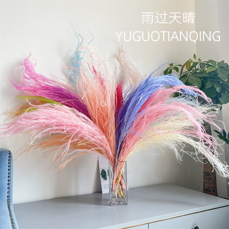 龙须草永生花白日焰火diy材料包