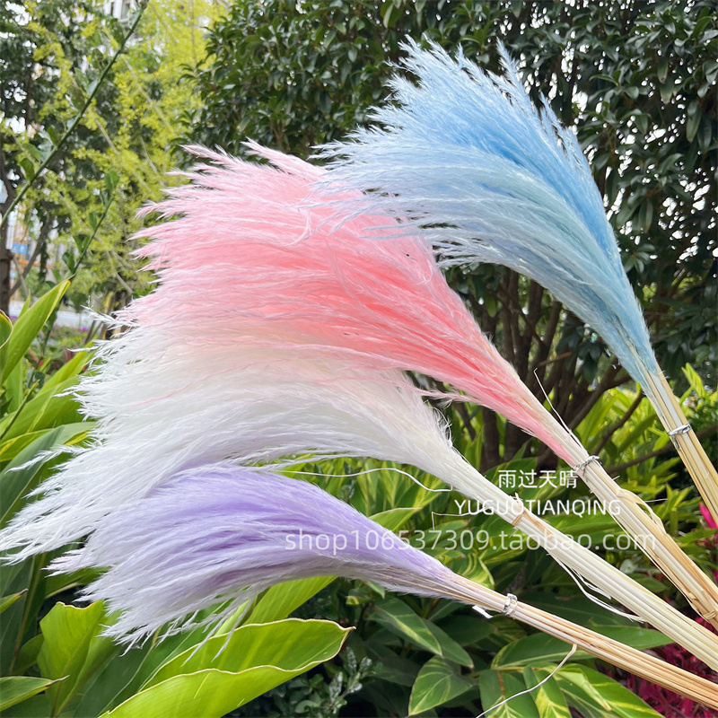 永生软毛拂尘家居软装插花