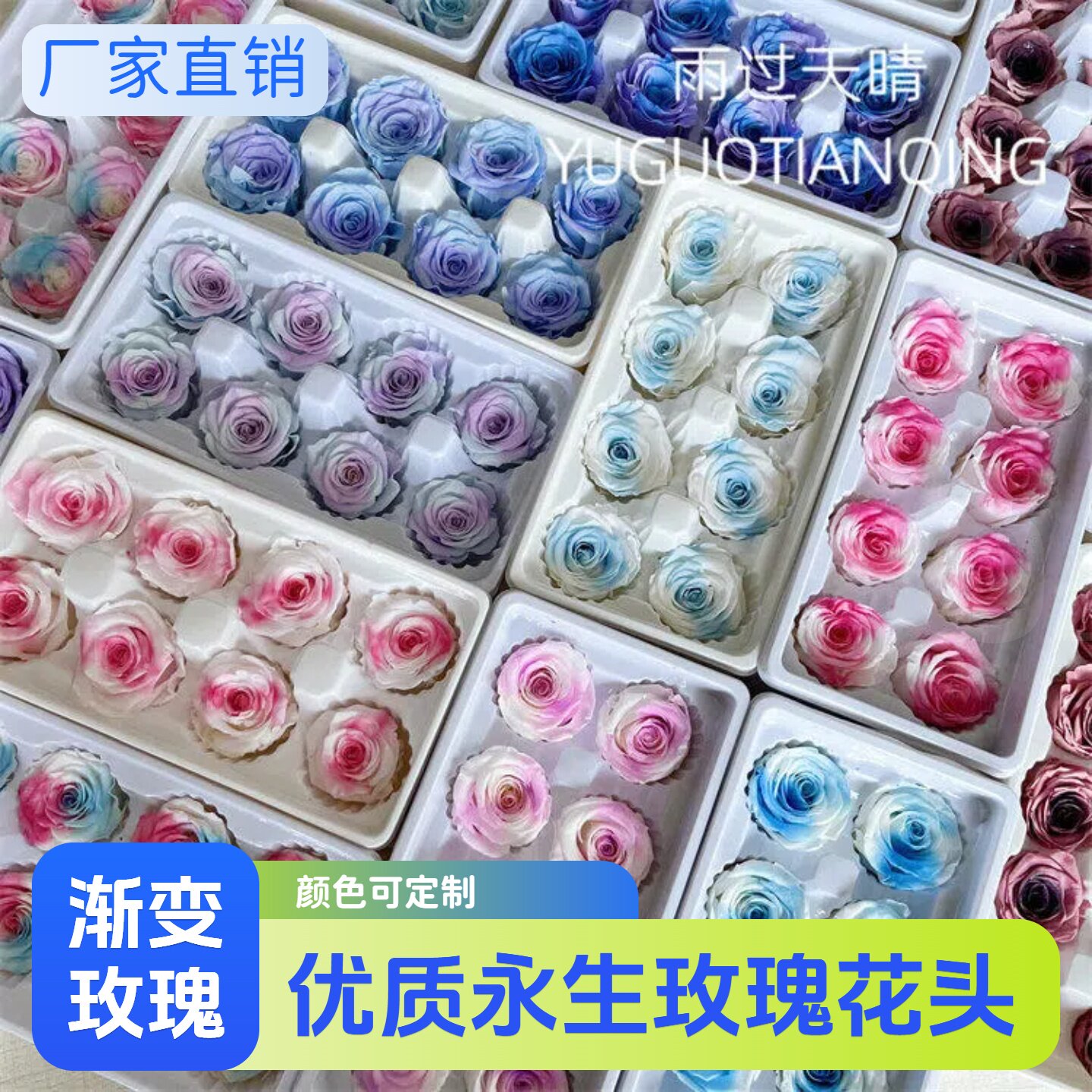 优质渐变玫瑰乌梅子酱草莓熊永生花头4-5CM可选保鲜花DIY材料包