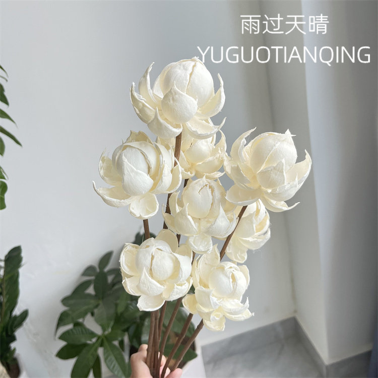 风荷手工干花宝莲灯北欧风轻奢手工干花宝莲灯木莲花客厅装饰文艺