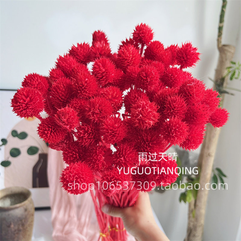 草莓果永生花家居软装插花千日红永生花天然干花草莓果花束配花