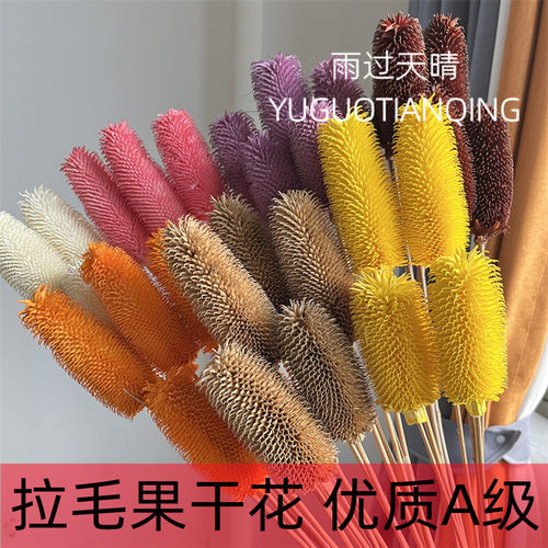 雨过天晴拉毛果干花家居装饰插花