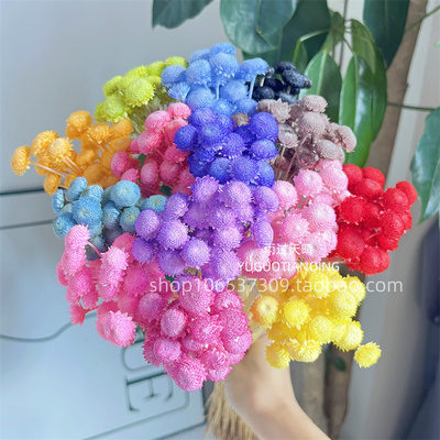 永生花天星菊家居软装插花