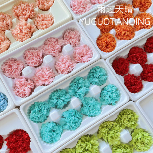 永生花A级康乃馨母亲节diy花材材料永生康乃馨保鲜花送妈妈的礼物