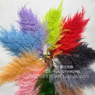 羊齿蕨永生花铁线蕨叶天然真花永生雪花蕨叶梦幻婚庆花材标本压花