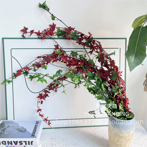 永生花常春藤真花垂吊型花材
