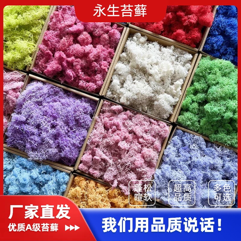 雨过天晴苔藓天然造景