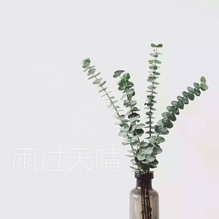雨过天晴干花尤加利干花永生花 摄影道具 DIY花束花盒配叶小清新