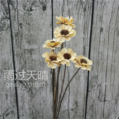 干花天然工艺室内原生态拍照道具