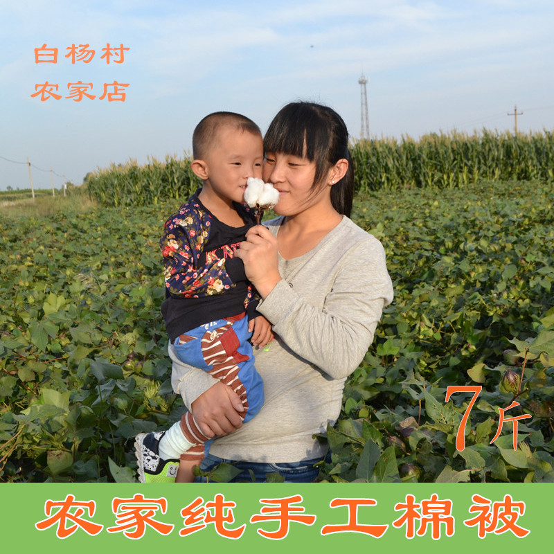 山东纯手工非新疆新棉长绒棉花被芯棉絮棉胎褥子垫被空调被7斤