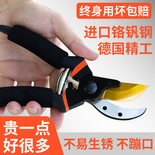 德国进口园强力艺剪刀果树剪子