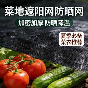 菜地遮阳网太阳网遮光网种菜盖菜防晒网蔬菜地遮阴网菜地遮阳网黑