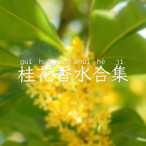 安娜 | 桂花飘香 桂花香水合集