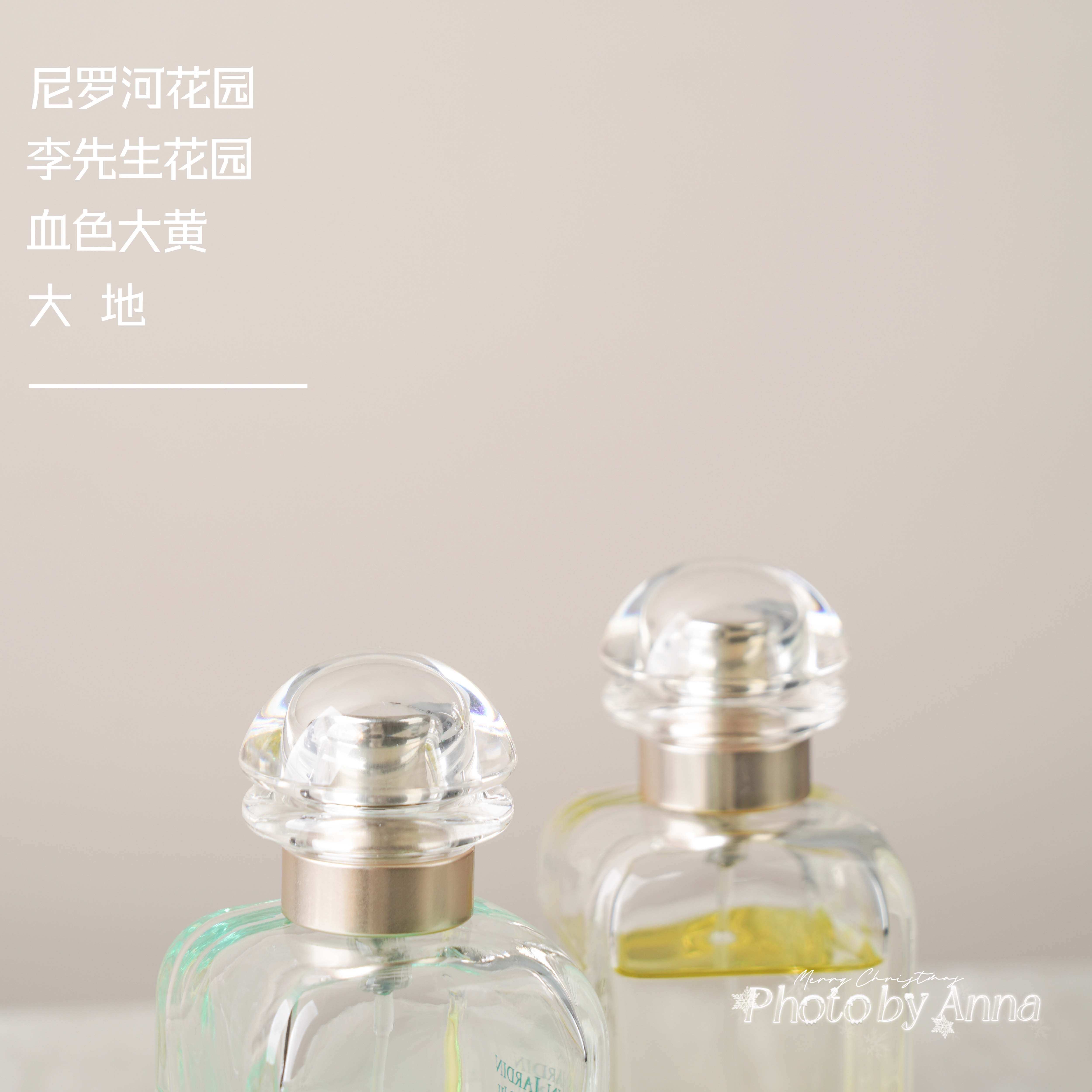 安娜 |地中海花园尼罗河李先生橘彩星光屋顶血色大黄橘绿之泉大地