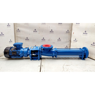 Seepex BN 10-6L Progressive Holhraum Einzel Schraube Pumpe 1