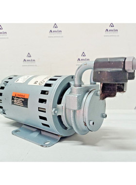 Pompa A Vano Rotante Gast 1531-107B-G289X 1/10 Hp, 220-240V