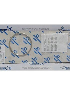 KSB AMRI 静态接头密封 9975280147 / 42806263 - 正品备件
