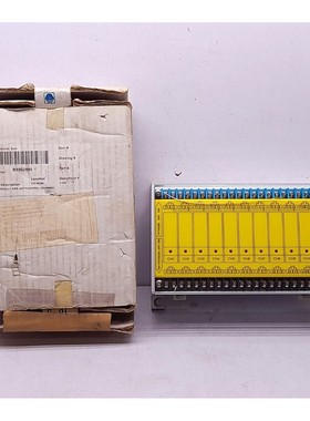 Idec Izbarl IBRC 610 1R-2 Relay Barrier
