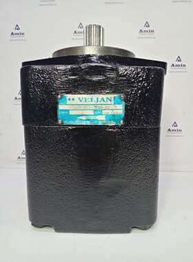 Veljan VT6EM-052-3R00-B1 Idraulico Pala Pompa