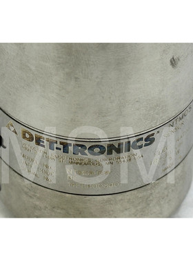 det-tronics H2S NTMOS 气体发射器