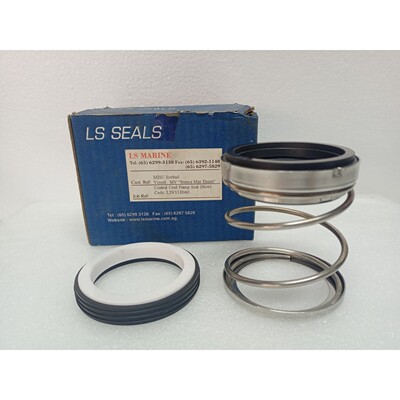 LS Seals LSV11R060 Mechanische Dichtung Gr??e: 60mm für Zen