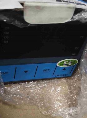 东辉仪表DY2000议价